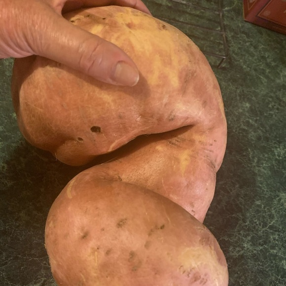 Meet your Posher, Sandi - Picture 9 of 16